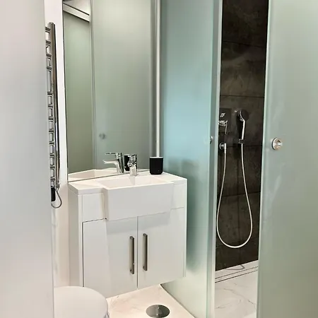 In Shared House In Downtown *